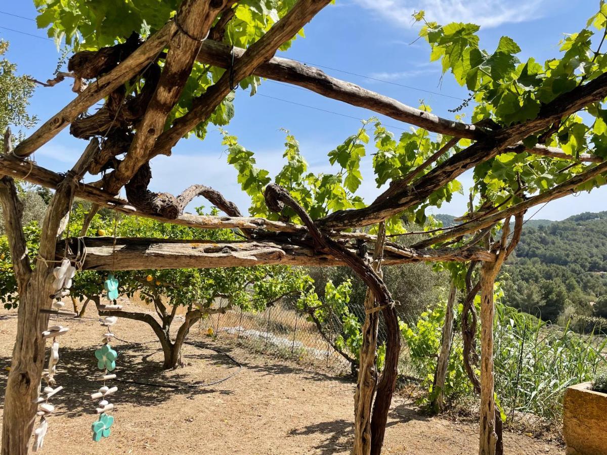 Finca Can Toni Den Real San José Dış mekan fotoğraf